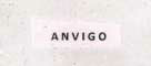 Anvigo Device mark 2161868 Trademark