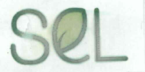 Sel Device mark 1931614 Trademark