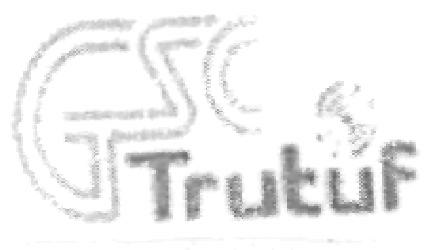 Trutuf (label) Device mark 2166712 Trademark