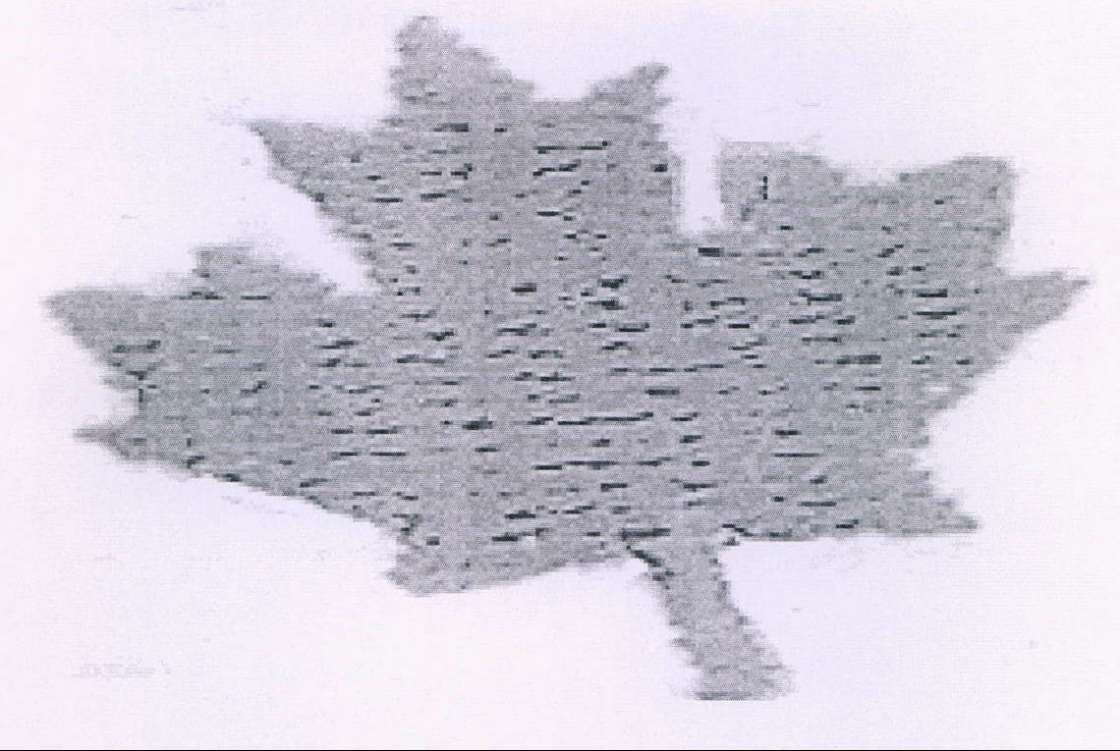 Device Of Leaf Device mark 2181488 Trademark