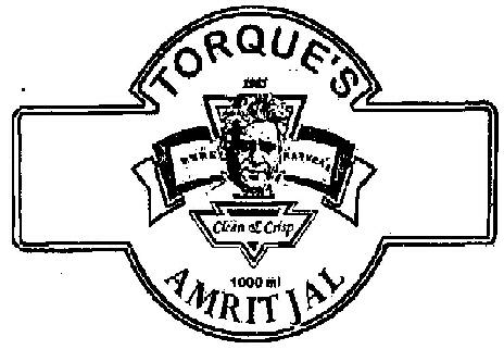 Torque's Amritjal Device mark 1992286 Trademark