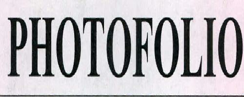Photofolio Device mark 2331839 Trademark