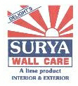 Delight's Surya Wall Care Device mark 2084091 Trademark