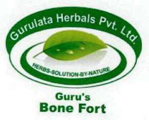 Guru's Bone Fort Device mark 2386293 Trademark