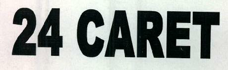 24 Caret Device mark 2370349 Trademark