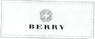 Berry Device mark 2436956 Trademark
