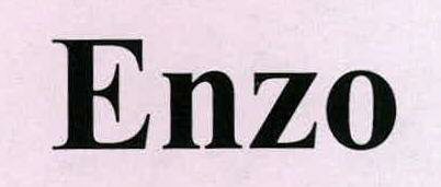 Enzo Device mark 2238251 Trademark