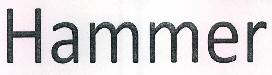 Hammer Device mark 2491971 Trademark