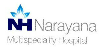 Nh Narayana Device mark 2511756 Trademark