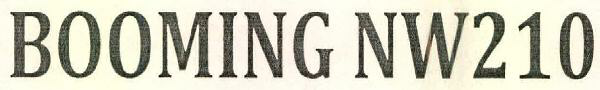 Booming Nw210 Device mark 2565694 Trademark