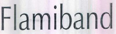 Flamiband Device mark 2580223 Trademark