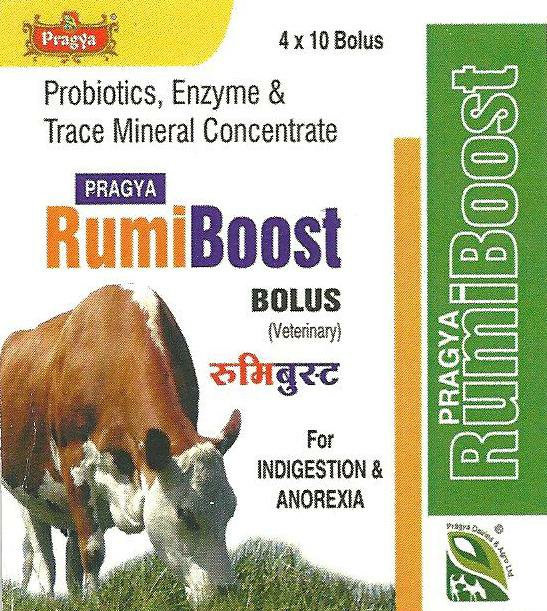 Rumiboost Device mark 2571272 Trademark