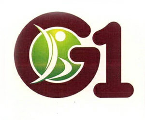 G1 Device mark 2586368 Trademark