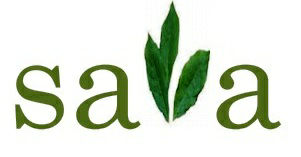 Saa Servotech Device mark 2402806 Trademark