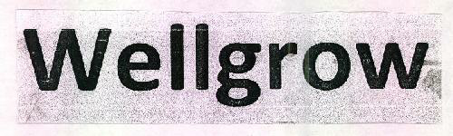 Wellgrow Device mark 2656155 Trademark