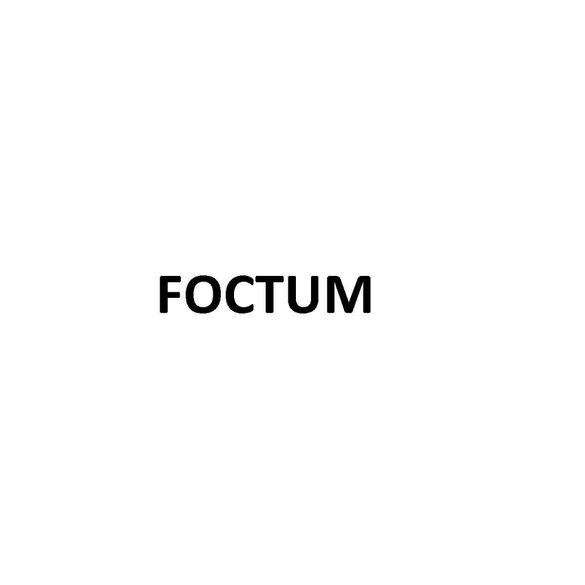 Foctum Device mark 2687419 Trademark