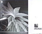 Safforn Device mark 1917923 Trademark