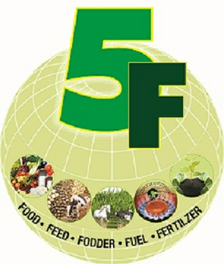 5f (logo) Device mark 2686852 Trademark