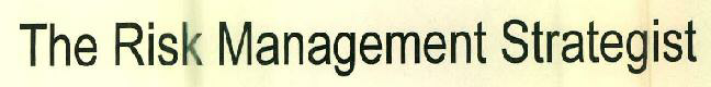 The Risk Management Strategist Device mark 2647309 Trademark