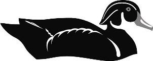 Duck Design Device mark 3005627 Trademark