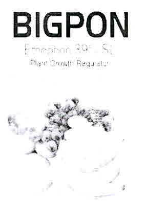 Bigpon Device mark 3012355 Trademark