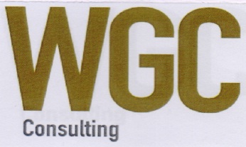 Wgc Consulting Device mark 3023041 Trademark