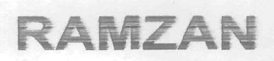 Ramzan Device mark 3035938 Trademark