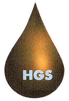 Hgs Device mark 3002416 Trademark