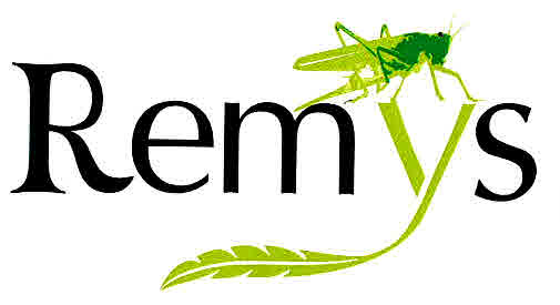 Remys Device mark 3010548 Trademark