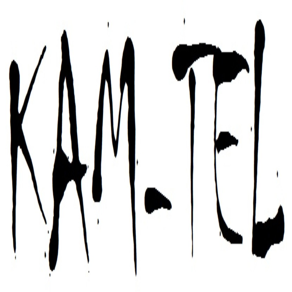 Kam-tel Device mark 3016735 Trademark