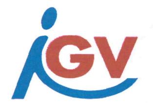 Igv Device mark 3019605 Trademark