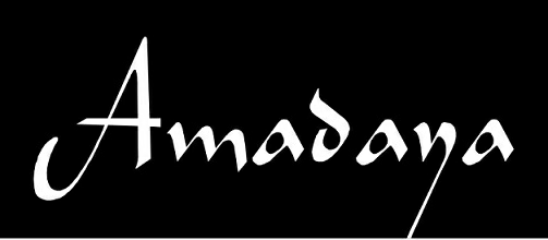 Amadaya Device mark 3024805 Trademark