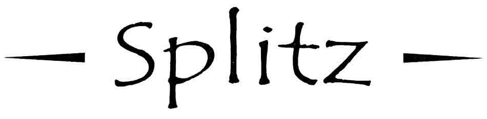 - Splitz - Device mark 3026266 Trademark