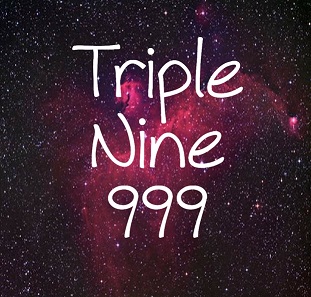 Triple Nine 999 Logo Device mark 3054006 Trademark