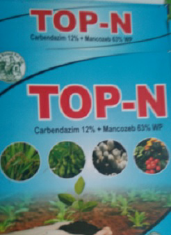 Top-n Device mark 3024386 Trademark