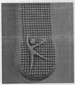Device Device mark 3024236 Trademark