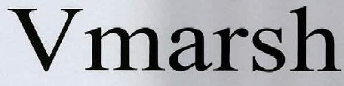 Vmarsh Device mark 3059260 Trademark