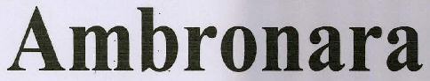 Ambronara Device mark 3031341 Trademark