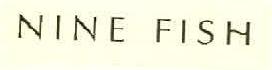 Nine Fish Device mark 3033874 Trademark
