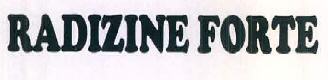Radizine Forte Device mark 3032218 Trademark