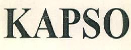 Kapso Device mark 3043355 Trademark