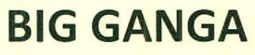 Big Ganga Device mark 3041025 Trademark