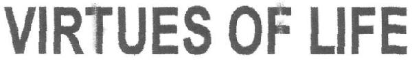 Virtues Of Life Device mark 3042807 Trademark