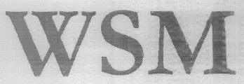 Wsm Device mark 3040100 Trademark
