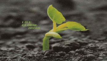 Life Global India Device mark 3050113 Trademark