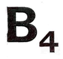 B4 Device mark 3068346 Trademark