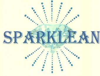 Sparklean Device mark 3041076 Trademark