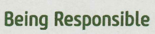 Being Responsible Device mark 3050141 Trademark