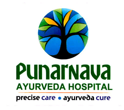Punarnava Device mark 3056072 Trademark