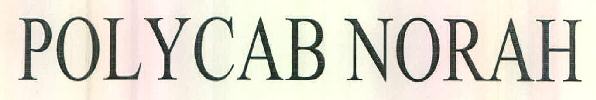 Polycab Norah Device mark 3077077 Trademark